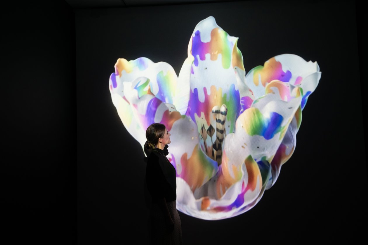 Heteróza na výstavě Mata Collishawa "Petrichor" v Kew Gardens, Londýn, 2023 (foto) od Mat Collishaw