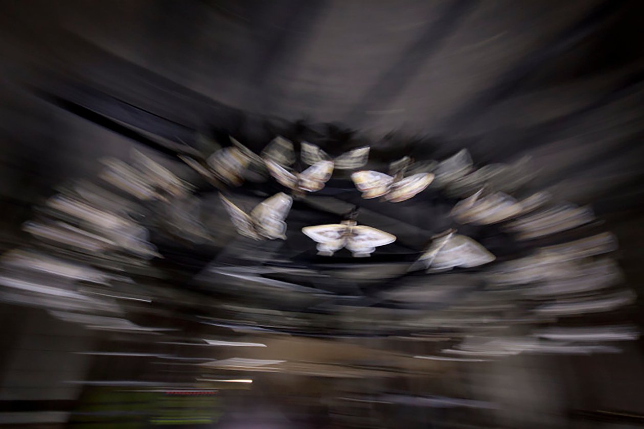 Kouzelná lucerna, 2010 (ocelový rám, perforovaný hliníkový plech, expandovaná pryskyřice, LED světla, motor) od Mat Collishaw