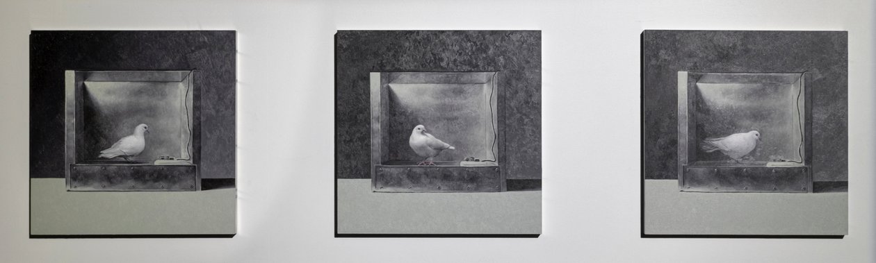 Operant Conditioning Chamber 3, 2022 (olej na hliníkové desce) od Mat Collishaw