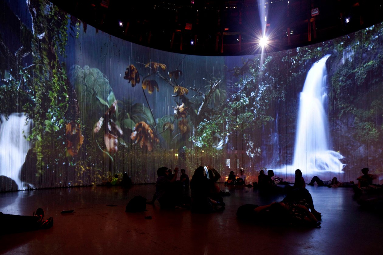 Sordid Earth, 2011 (Videoinstalace, pevný disk, silikon, ocel) od Mat Collishaw