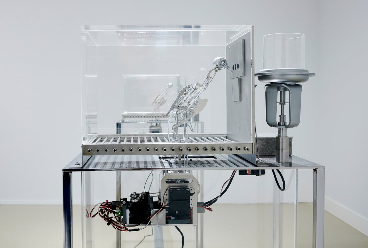 The Machine Zone, 2019 (ocel, hliník, servomotory) od Mat Collishaw