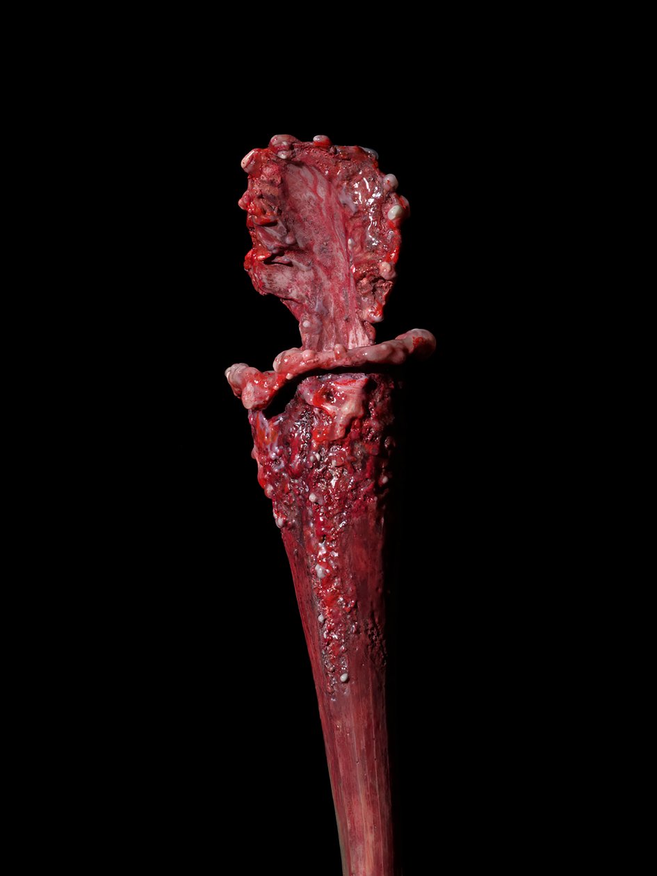 The Venal Muse, Fenside, 2012 (pryskyřice, emailová barva, dřevo, sklo, ocel) od Mat Collishaw
