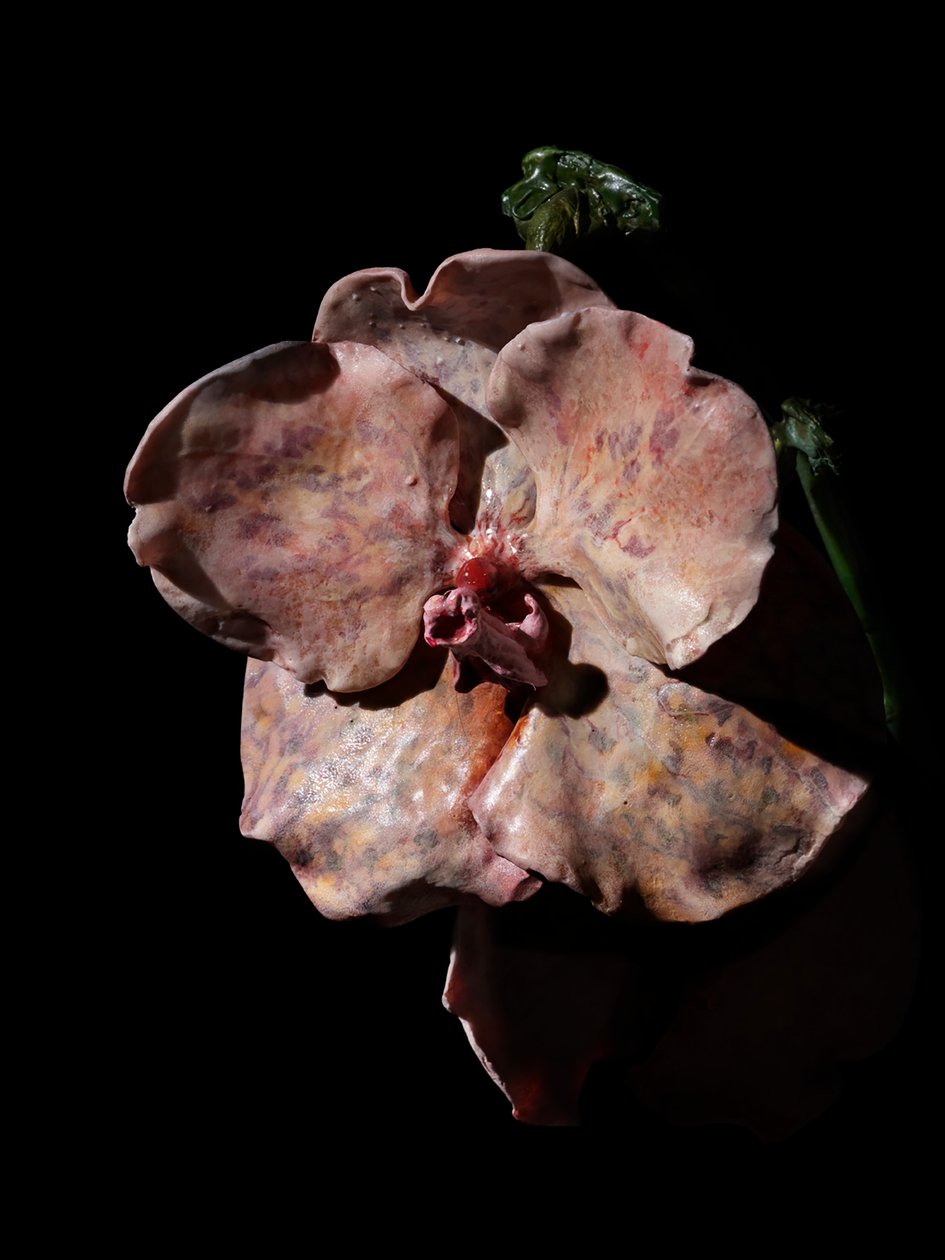 Venal Muse, Impetus, 2012 (pryskyřice, emailová barva, dřevo, sklo, ocel) od Mat Collishaw