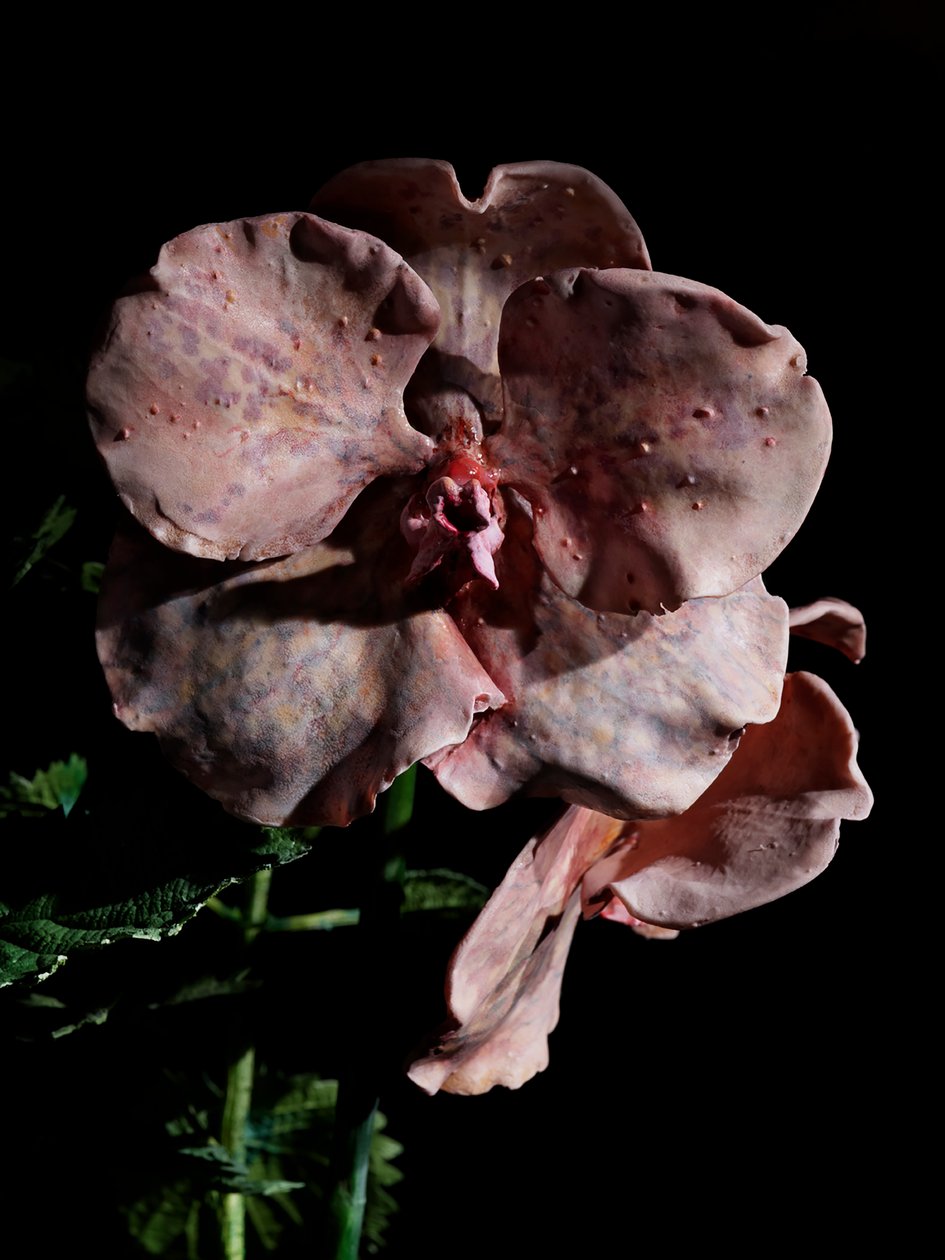 Venal Muse, Impetus, 2012 (pryskyřice, emailová barva, dřevo, sklo, ocel) od Mat Collishaw