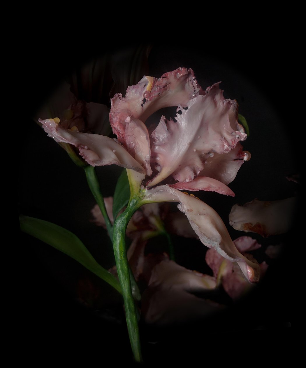 Venal Muse, Viridor, 2012 (pryskyřice, emailová barva, dřevo, sklo, ocel) od Mat Collishaw