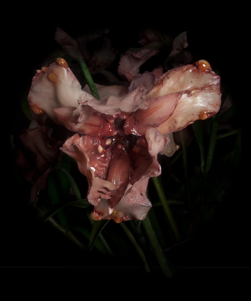 Venal Muse, Viridor, 2012 (pryskyřice, emailová barva, dřevo, sklo, ocel) od Mat Collishaw