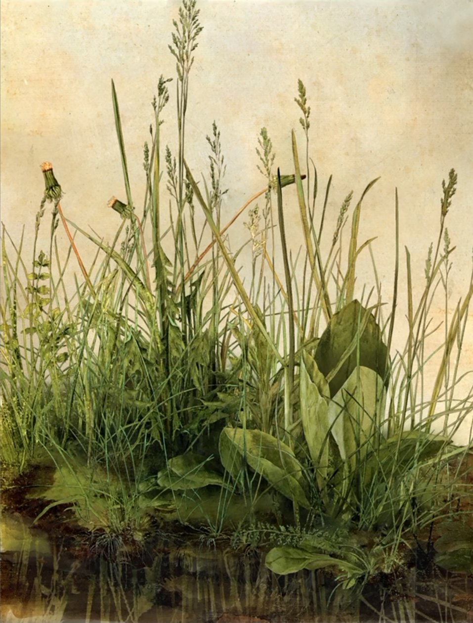 Whispering Weeds, 2011 (dřevěný rám, rámeček, LCD obrazovka, ventilátor a pevný disk) od Mat Collishaw