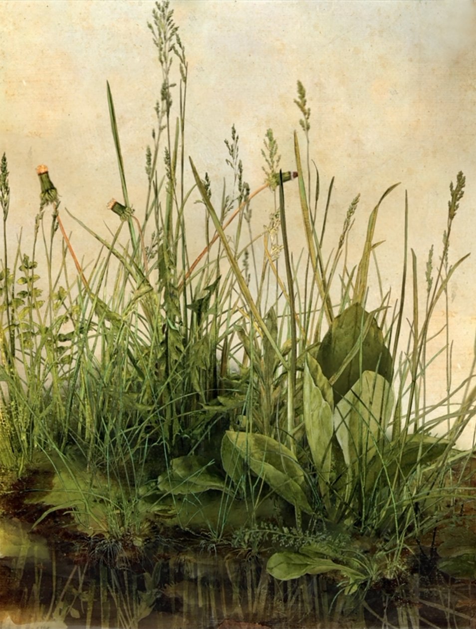 Whispering Weeds, 2011 (dřevěný rám, rámeček, LCD obrazovka, ventilátor a pevný disk) od Mat Collishaw