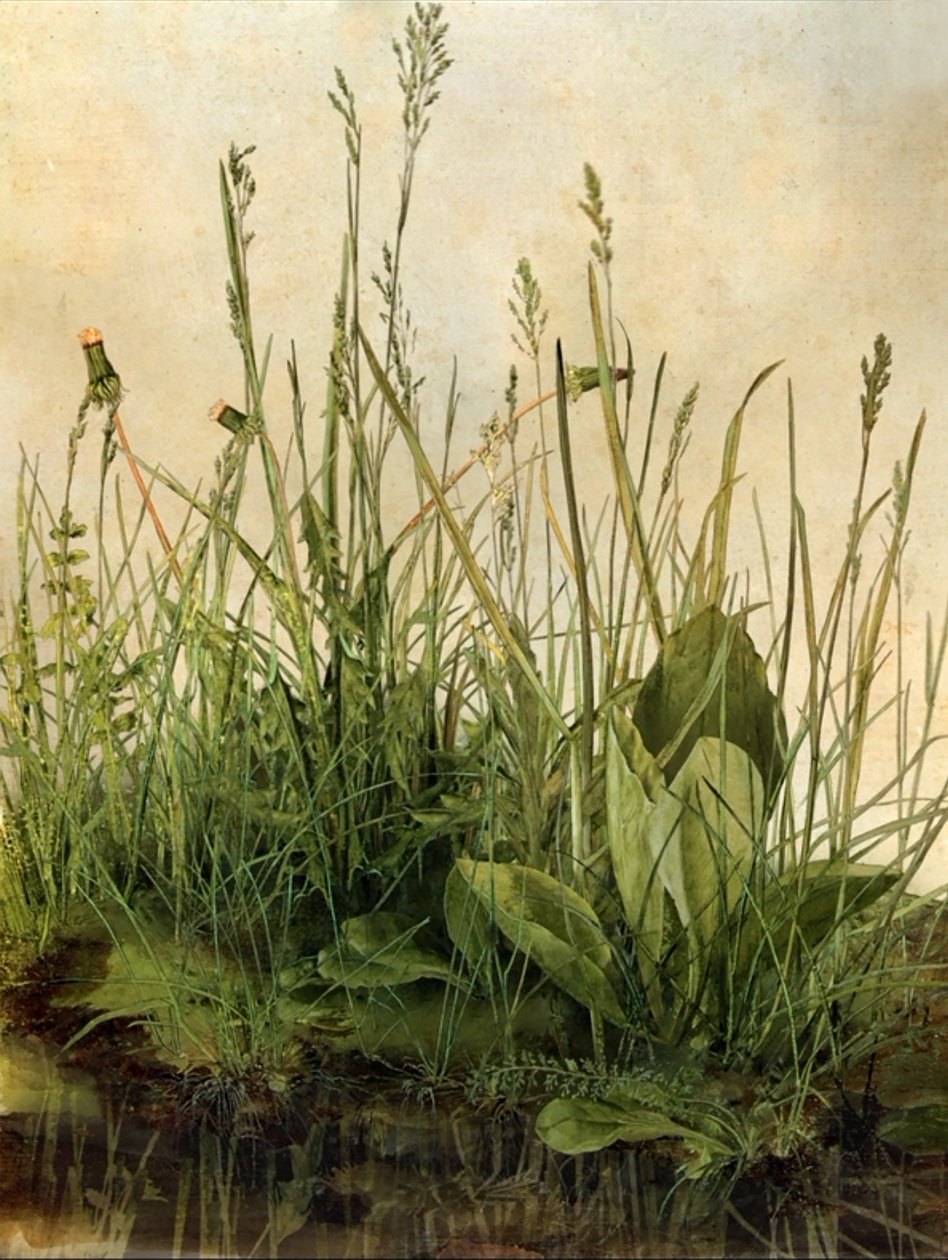 Whispering Weeds, 2011 (dřevěný rám, rámeček, LCD obrazovka, ventilátor a pevný disk) od Mat Collishaw