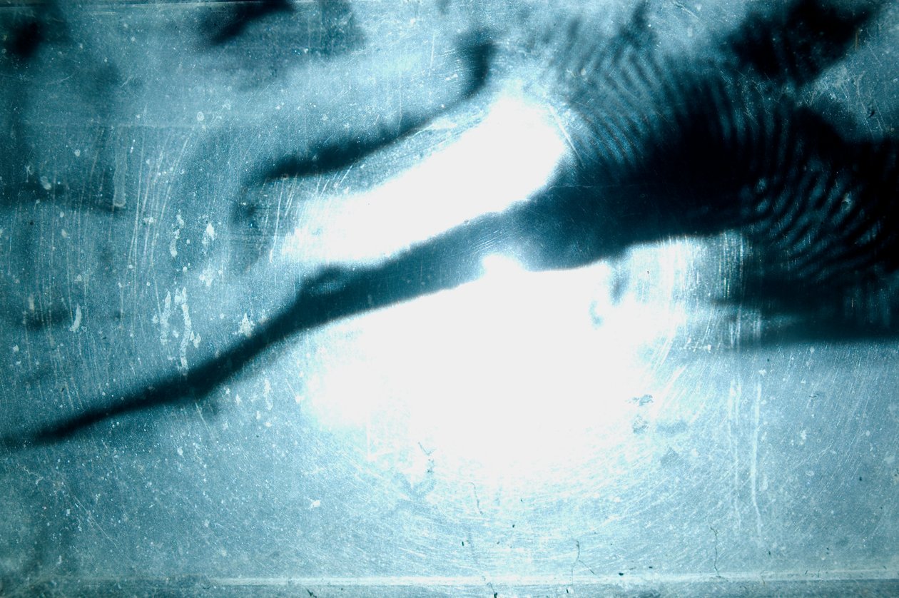 Červík, 2009 (dřevo, sklo, ocel, projektor a přehrávač) od Mat Collishaw
