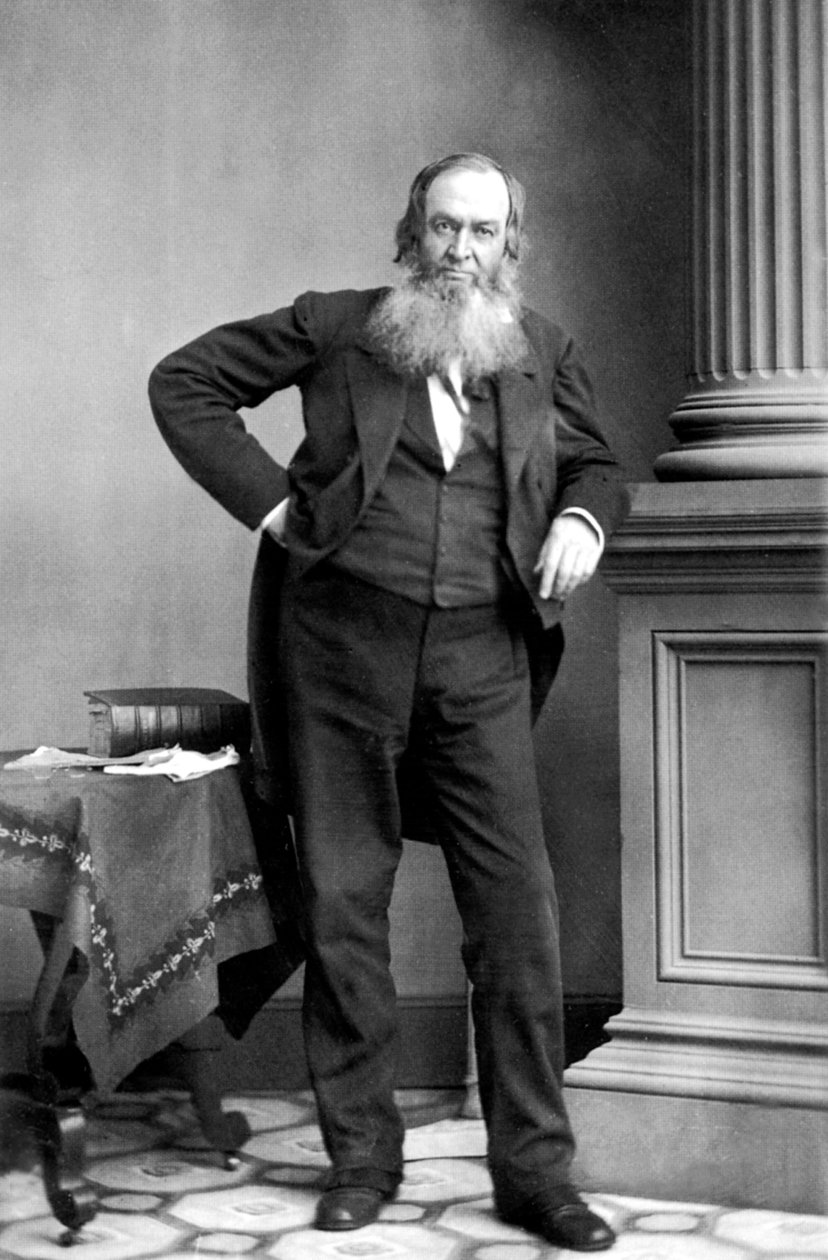 Gerrit Smith: Americký politik, New York od Mathew B. Brady