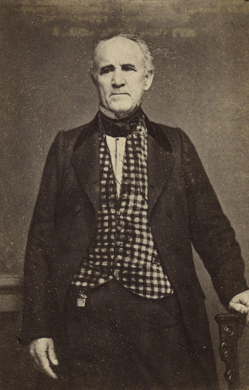 Sam Houston, kolem 1860-65 (stříbrný tisk alba) od Mathew B. Brady