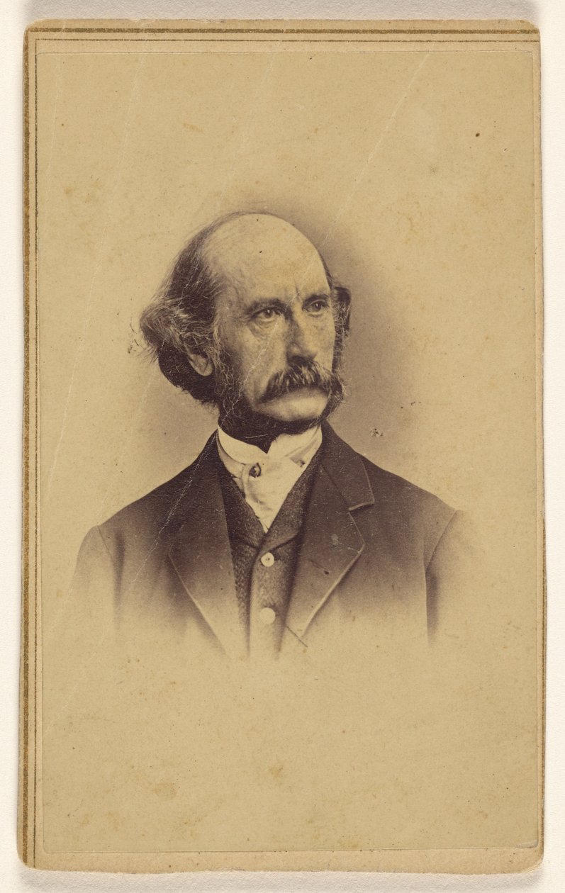 [Neznámý holohlavý muž s knírem, tištěno ve stylu viněty] od Mathew B. Brady