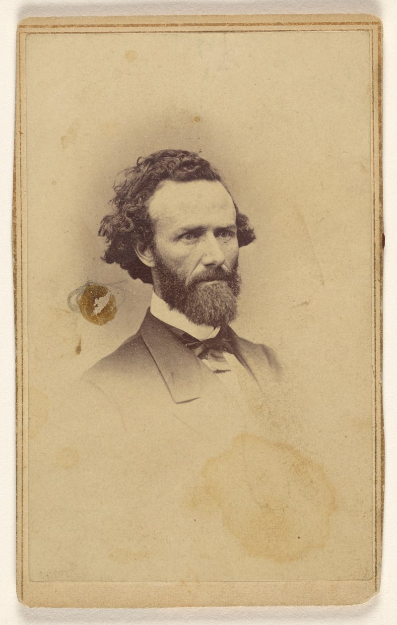 [Neidentifikovaný vousatý muž] od Mathew B. Brady