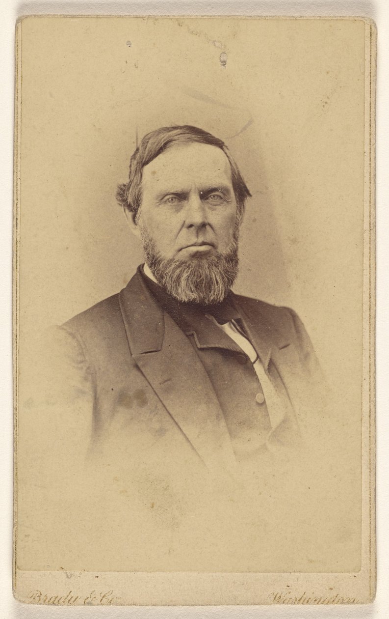 [Neidentifikovaný vousatý muž, vyobrazený ve stylu viněty] od Mathew B. Brady