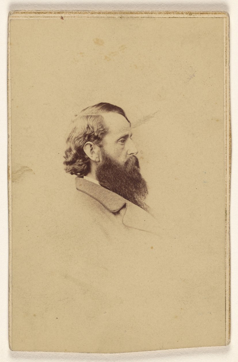 [Neznámý dlouhovousý muž z profilu] od Mathew B. Brady