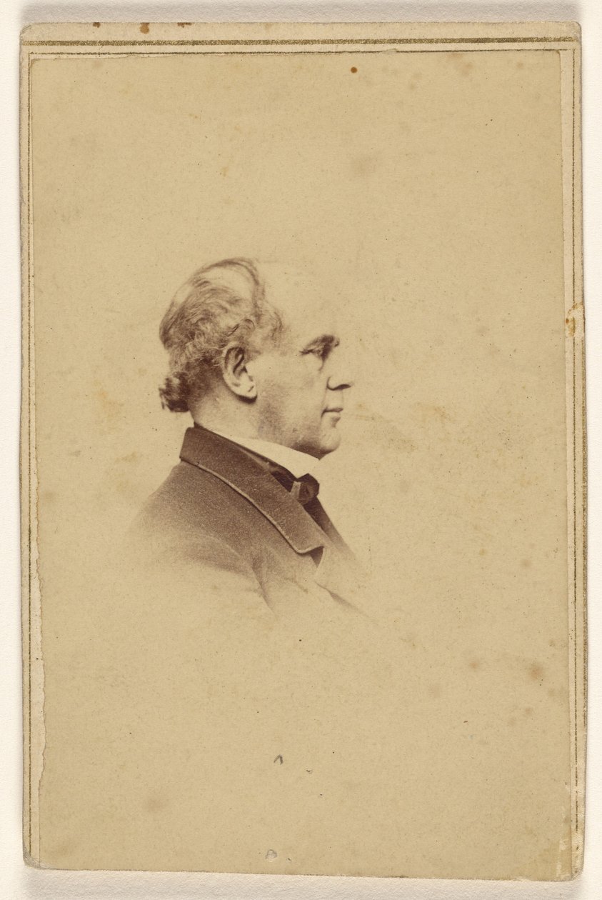 [Neidentifikovaný muž z profilu, vytištěný ve stylu viněty] od Mathew B. Brady