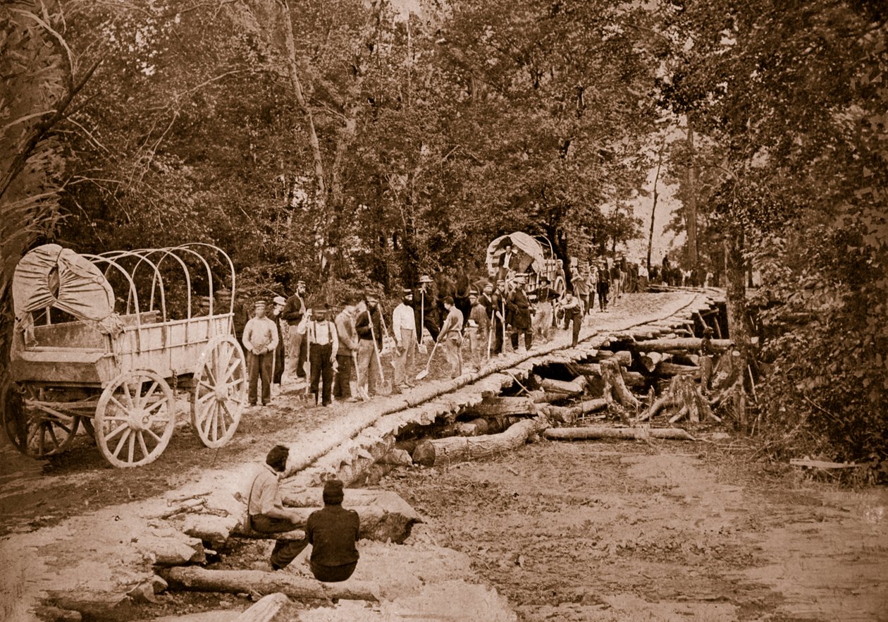 Grape Vine Bridge postavený americkými inženýry, 1861-65 od Mathew B. Brady