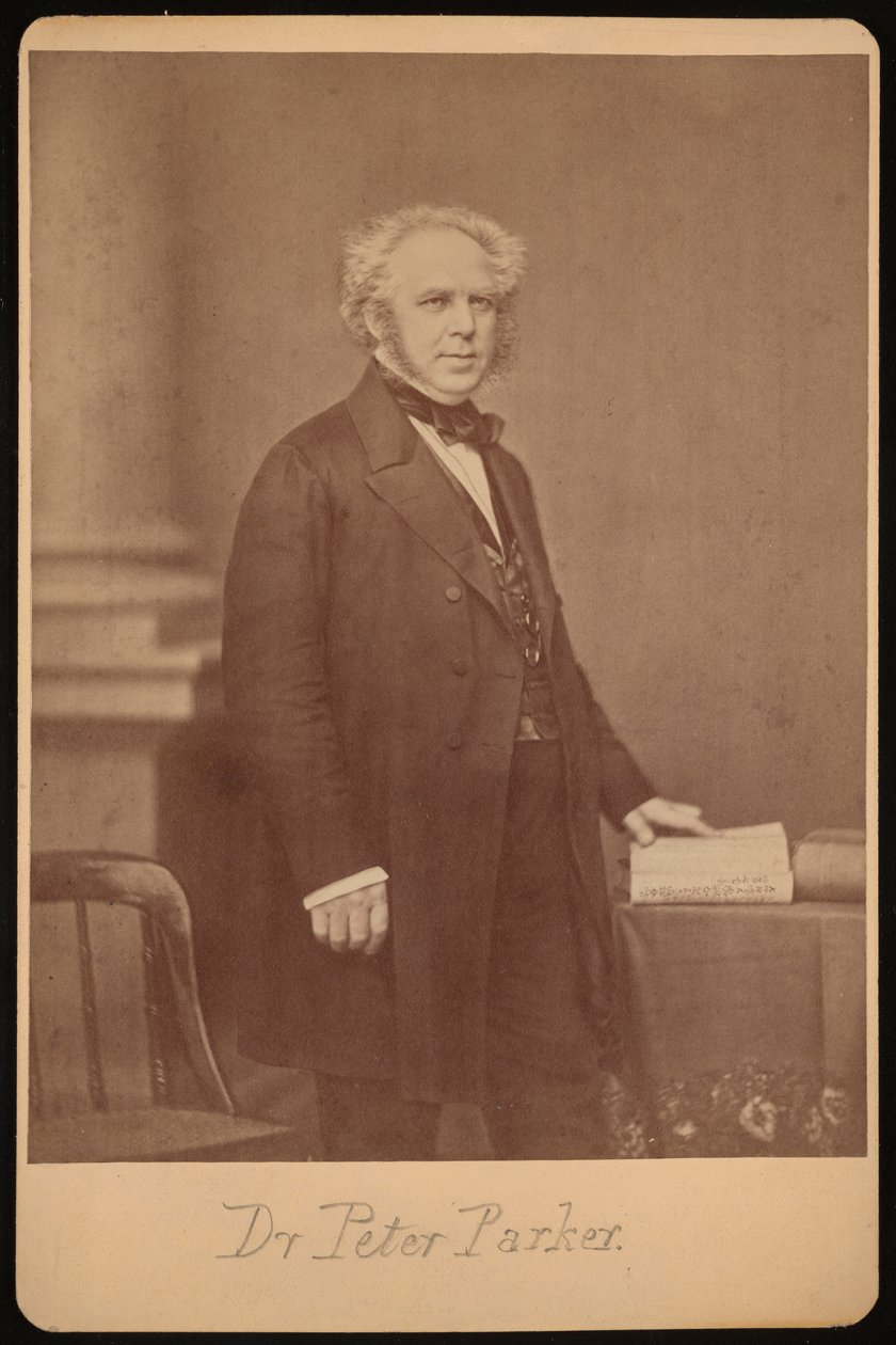 Portrét Petera Parkera 1804-1888, před rokem 1888. od Mathew Brady