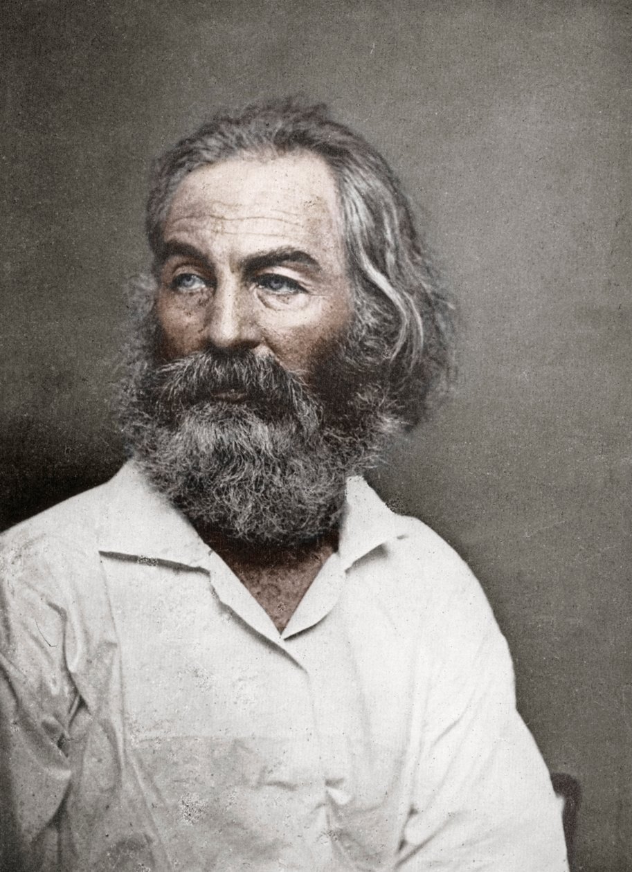 Walt Whitman, americký básník, c1880. od Mathew B. Brady