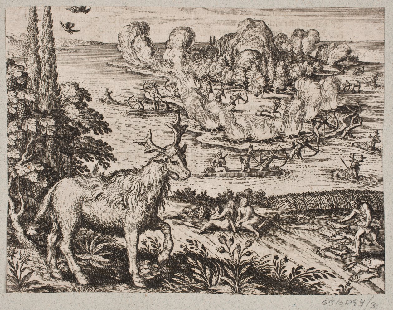 Tady si nemůžu pomoct, ale nevzpomenu si na obzvlášť úžasného tvora, kterému domorodci říkají Mosse od Matthäus Merian d.Æ.