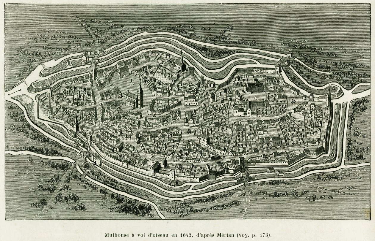 Závěsný od Matthaus the Elder (after) Merian