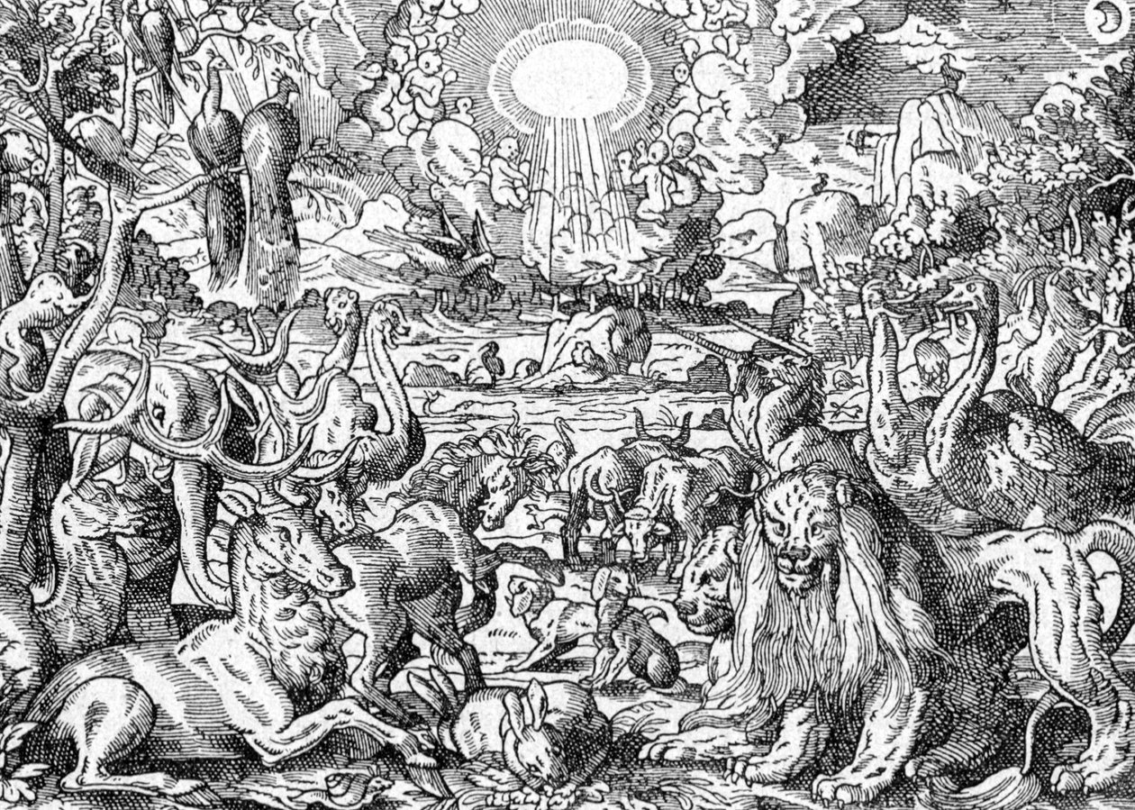 Paradise od Matthaus the Elder Merian