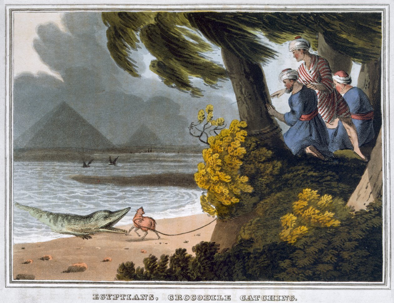 "Egypťané, chytání krokodýlů", 1813 od Matthew Dubourg