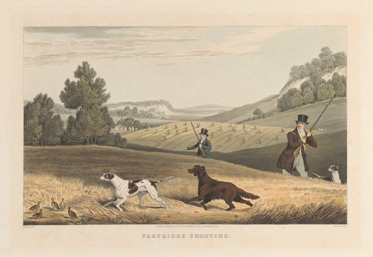 Partridge Střelba od Matthew Dubourg