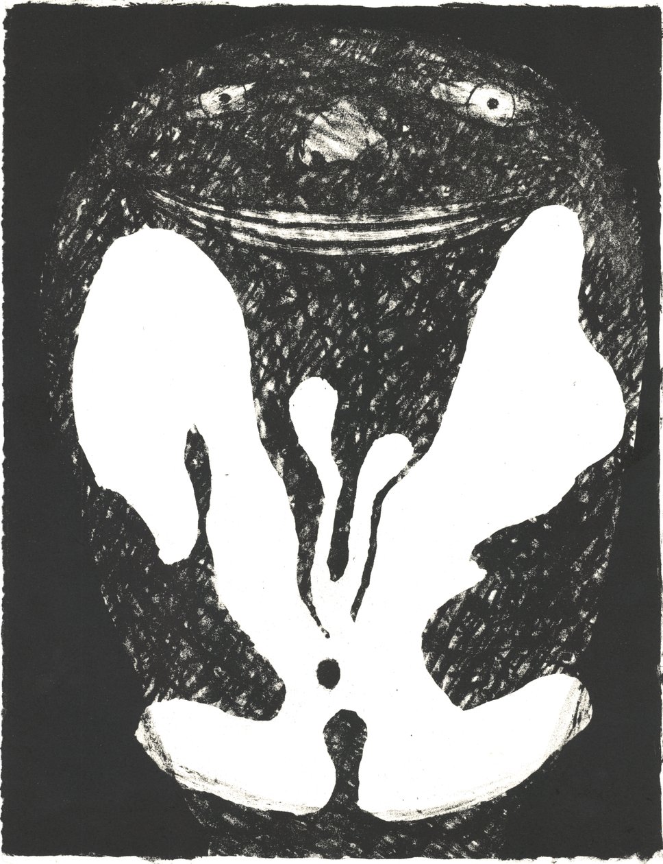 Des Bêtes" Artist Book 1, 2018 (litografie) od Matthew Hilton