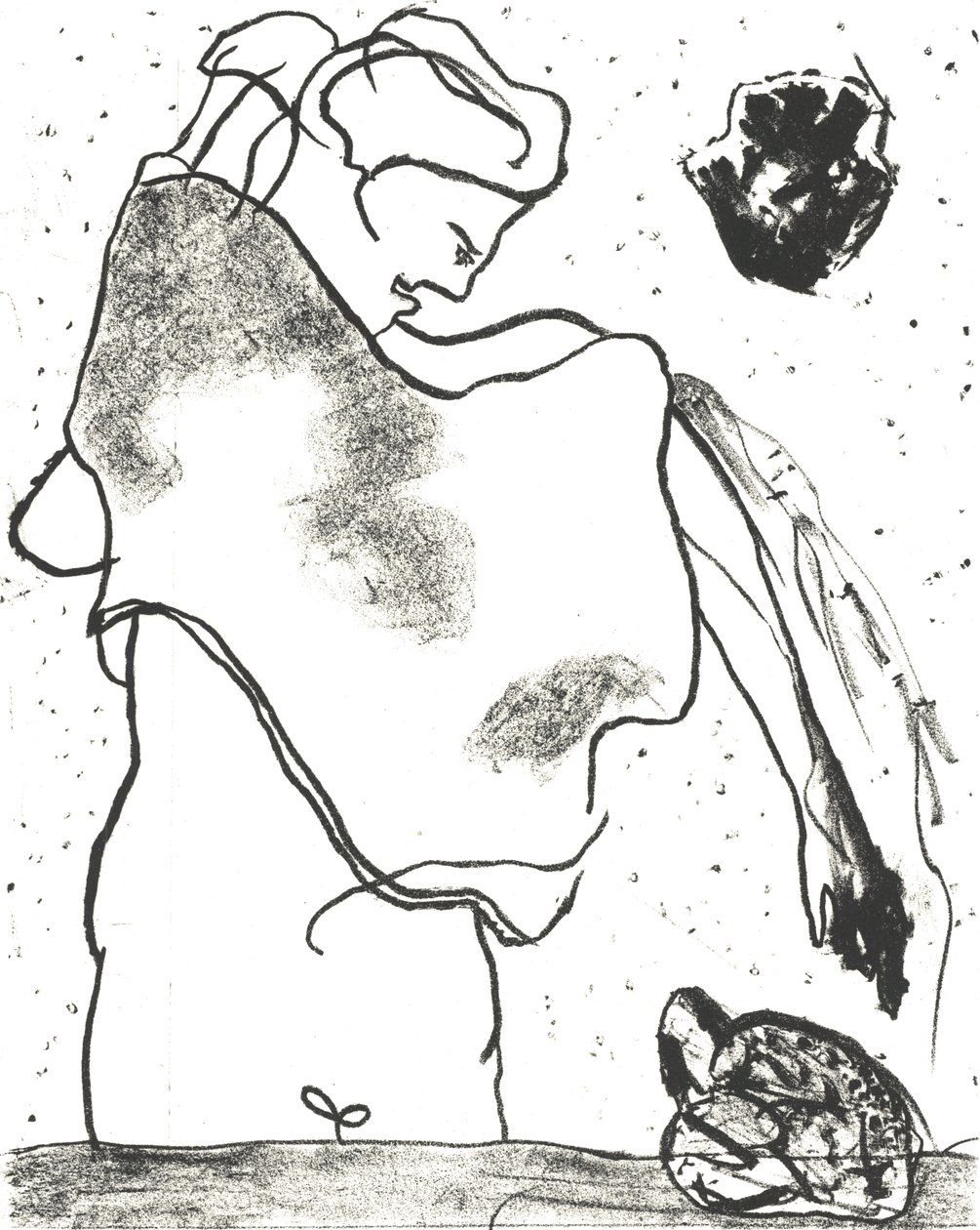 Des Bêtes" Artist Book 2, 2018 (litografie) od Matthew Hilton