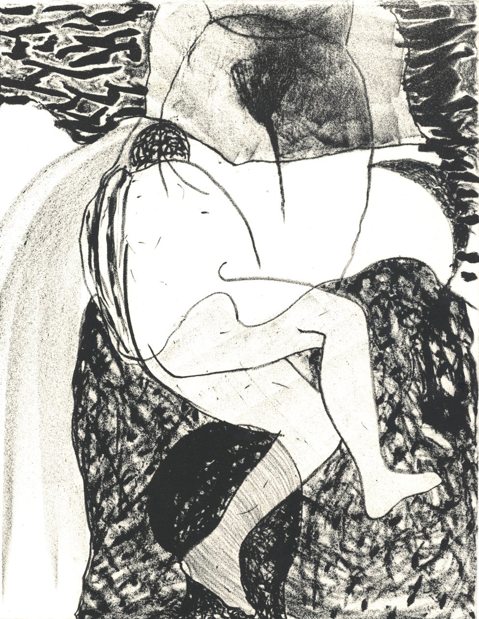 Des Bêtes" Artist Book 3, 2018 (litografie) od Matthew Hilton