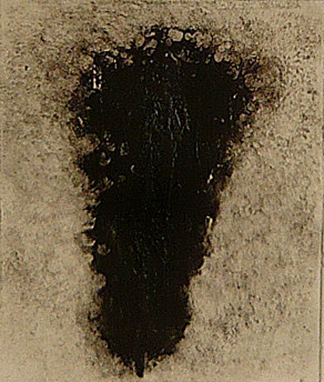 ossie, 2009 (heliotisk) od Matthew Hilton