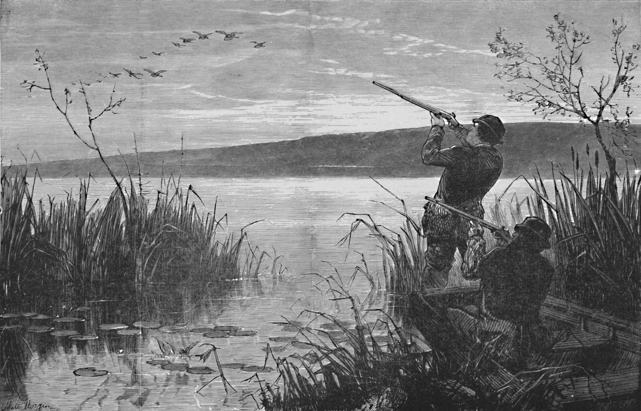 Kachní střelba na jezeře Saratoga, 1973, 1883 od Matthew Somerville Morgan