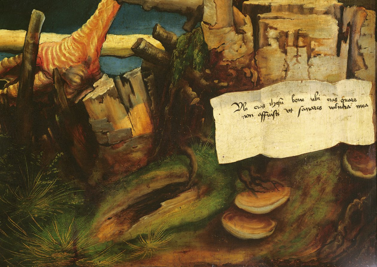 Detail pokušení svatého Antonína z Isenheimského oltářního obrazu, asi 1512-16 olej na desce od Matthias Grünewald