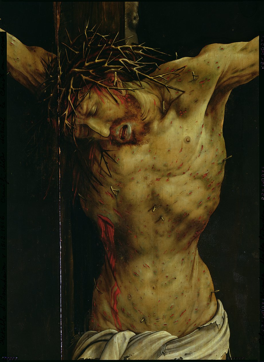 Ukřižování z Isenheimského oltáře, detail Kristova torza, cca 1512-16 olej na detailu panelu od Matthias Grünewald