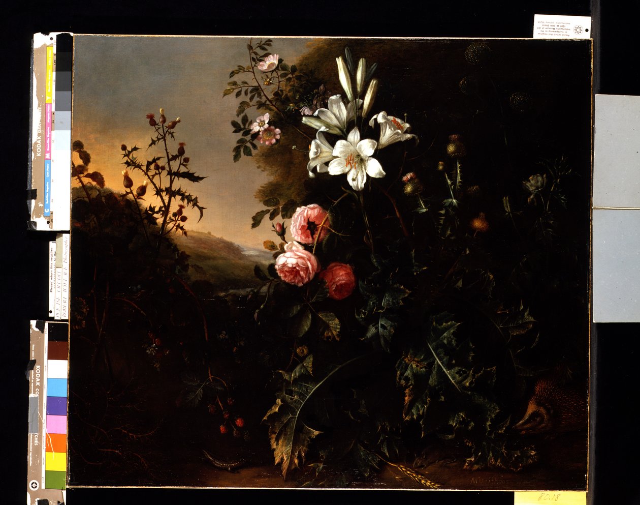 Still Life, cca 1670 (olej na plátně) od Matthias Withoos