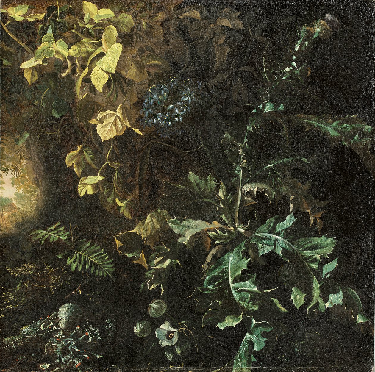 Bodláky a další rostliny na lesní půdě, krajina za ní, fragment od Matthias Withoos