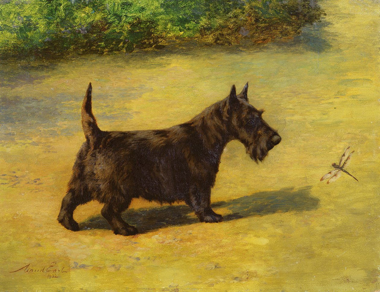 Zvídavý pohled od Maud Earl
