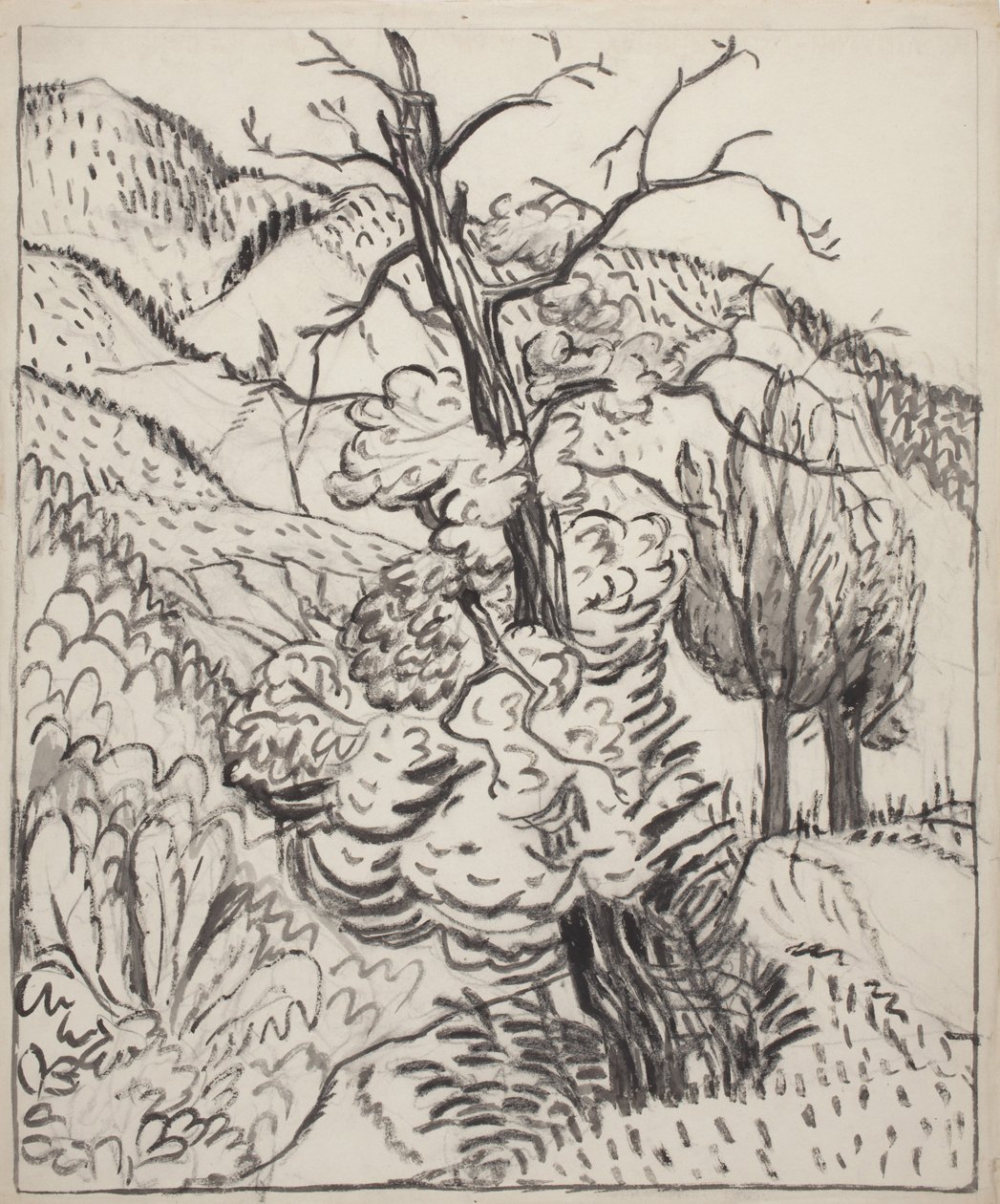 Strom na svahu hory, asi 1930 (štětec, tuš a uhel na bělavém vliesovém papíře) od Maud Hunt Squire