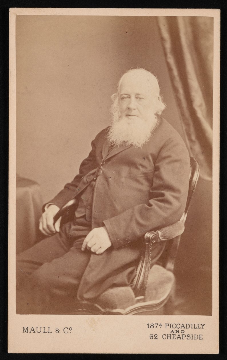 Portrét Johna Goulda 1804-1881, před rokem 1875. od Maull and Co