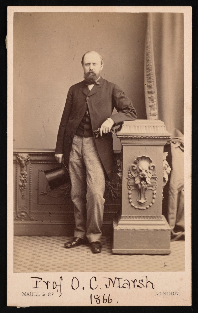 Portrét Othniela Charlese Marshe 1831-1879, 1866. od Maull and Co