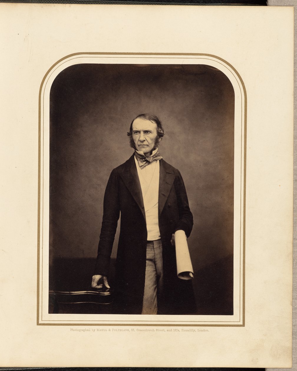 Ctihodný W. E. Gladstone, M.P. od Maull and Polyblank