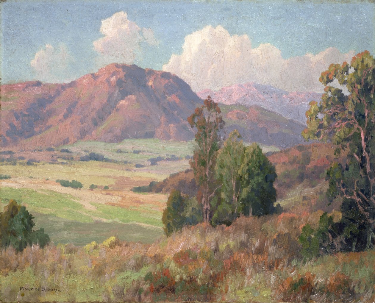 San Diego Hills (olej na plátně) od Maurice Braun