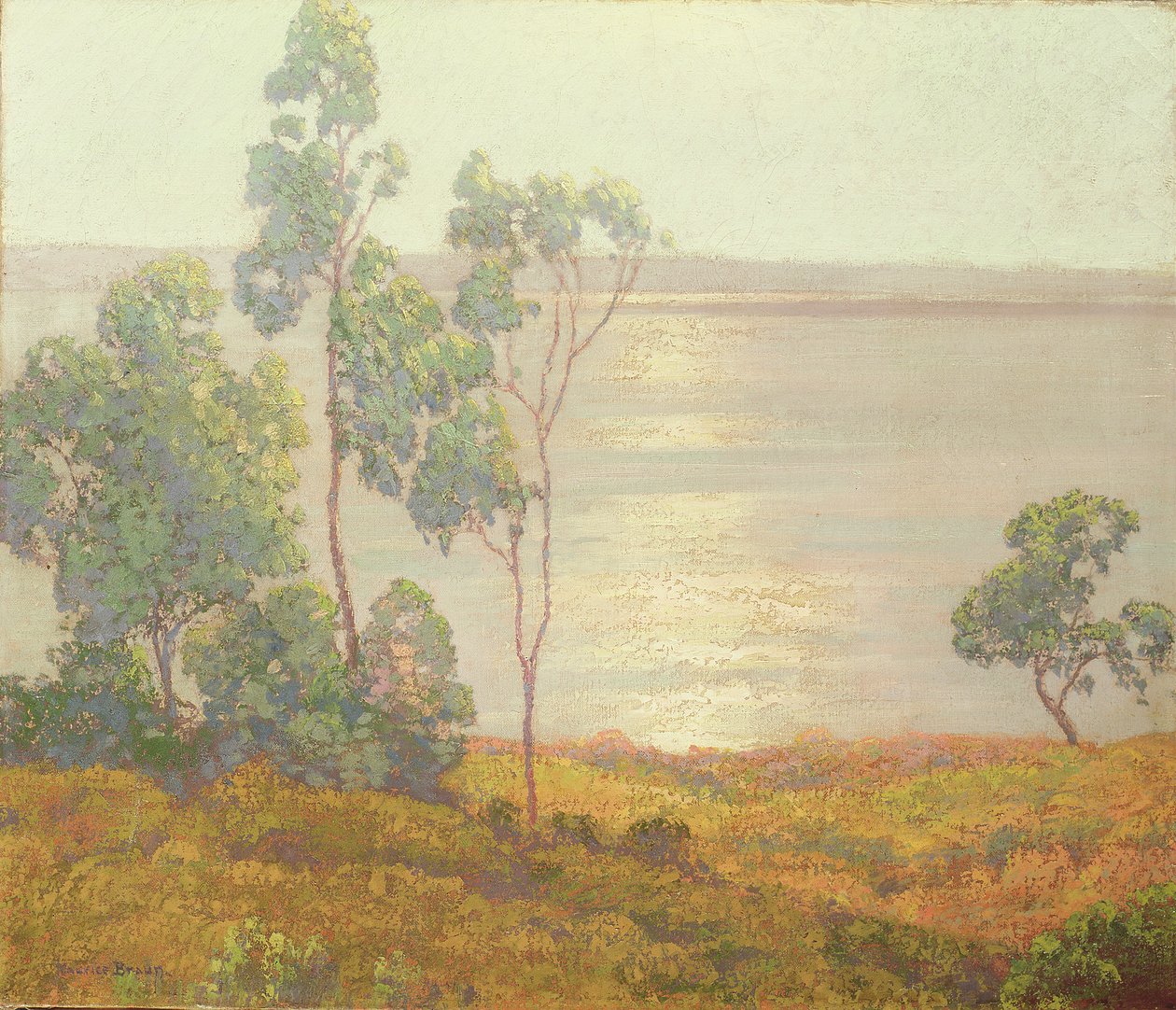 The Morning Sun, San Diego (olej na plátně) od Maurice Braun