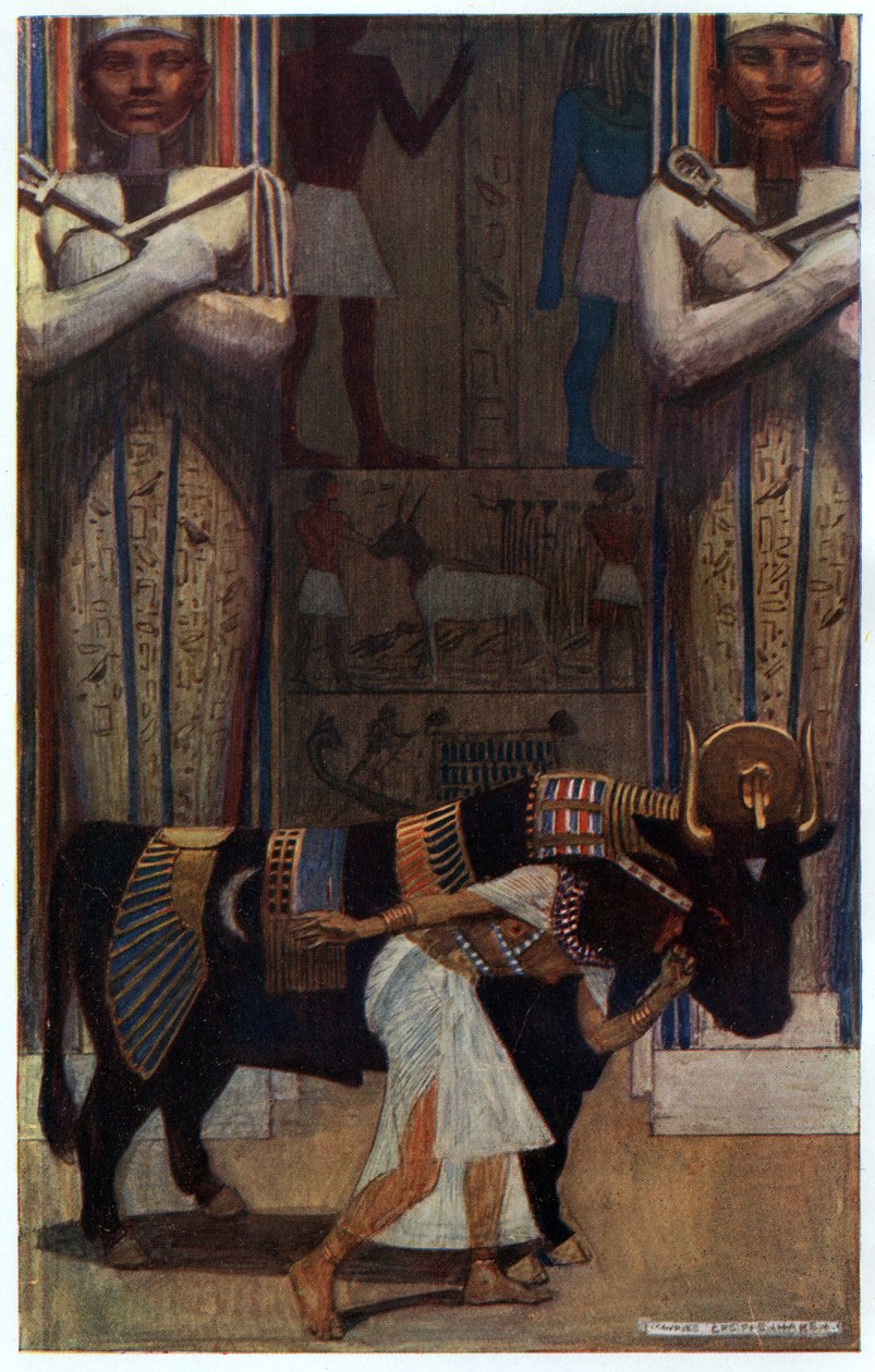 The Girl Wife and the Bath Bull, ilustrace z 