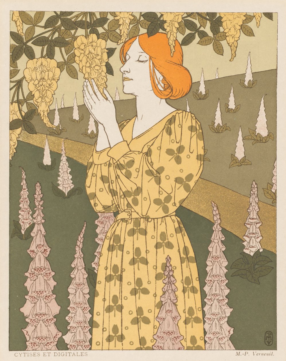 Cytis a Digitalis od Maurice Pillard Verneuil