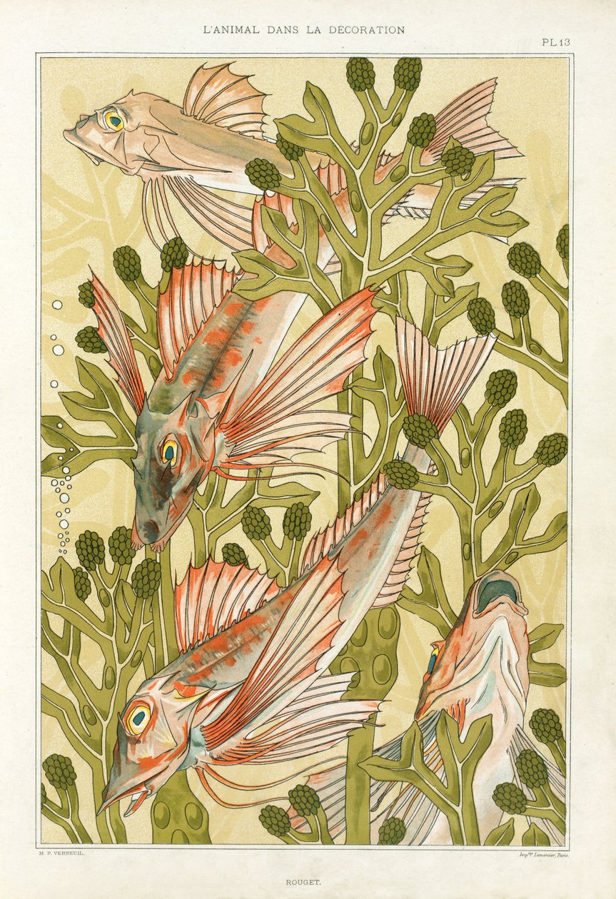Red Mullet, z 
