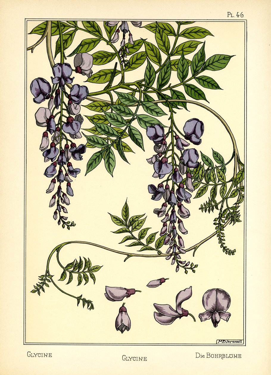 Glycin (barva litho) od Maurice Pillard Verneuil