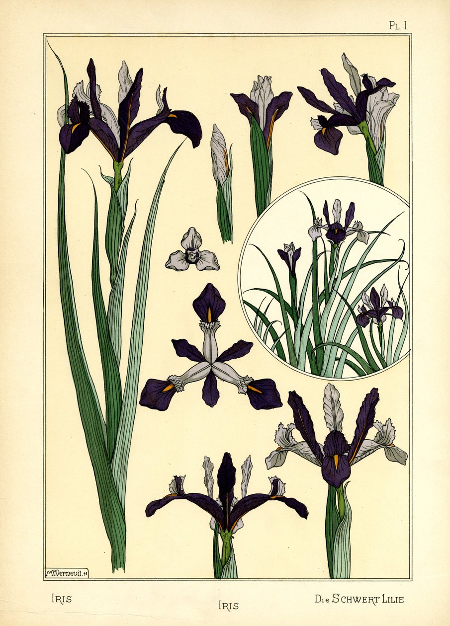 Iris (barva lito) od Maurice Pillard Verneuil